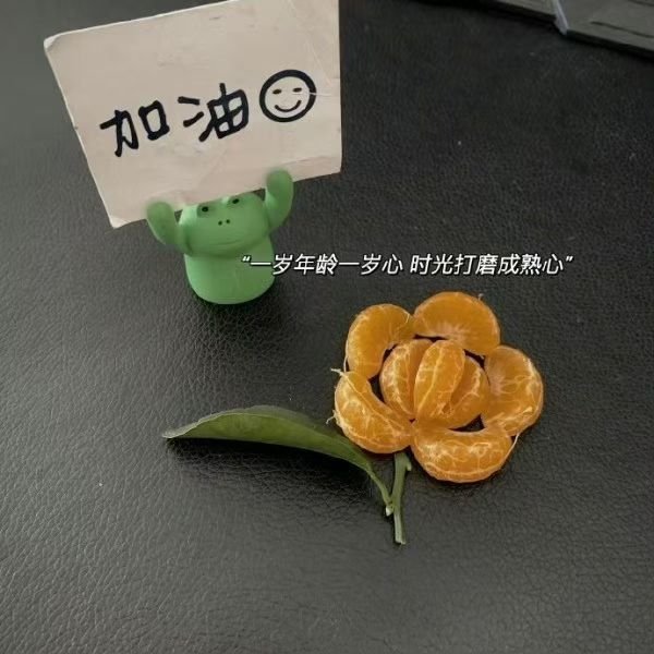 人生没有橡皮擦落笔处即是正确答案 ​​​