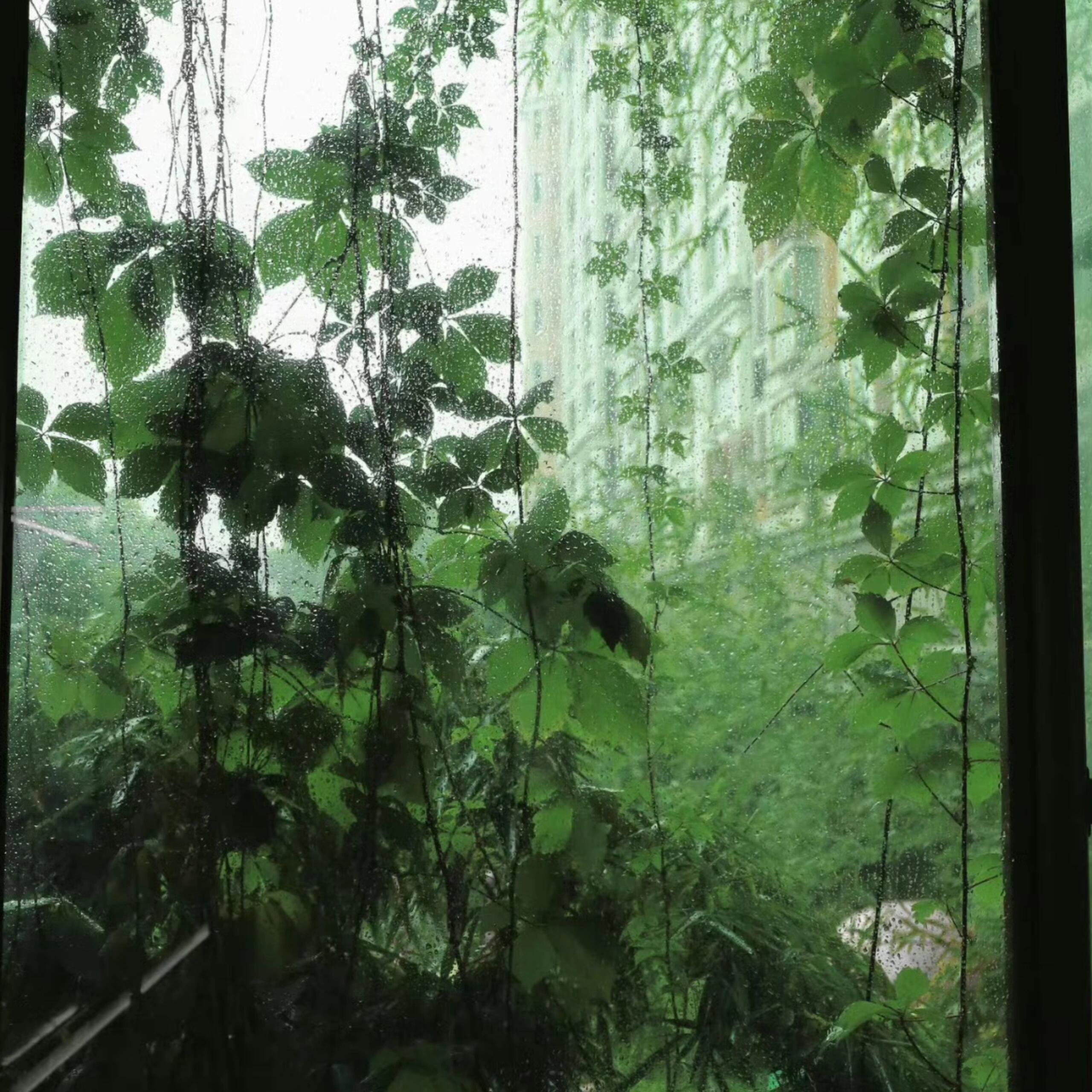 𝐒𝐇𝐀𝐑𝐄｜小众背景图｜梦幻仙境🍀 