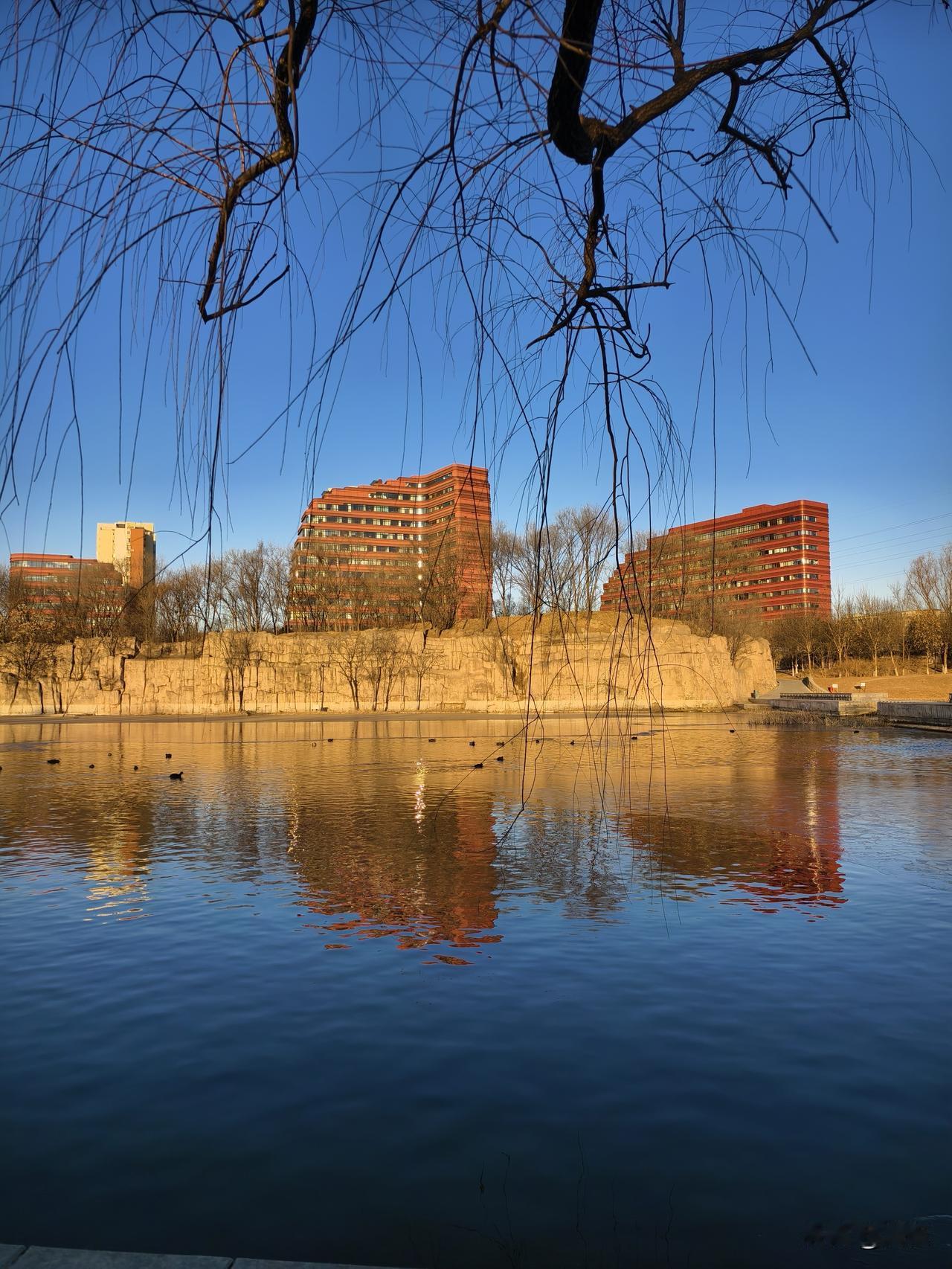 分享公园里的随手拍昌平白浮泉公园随手拍