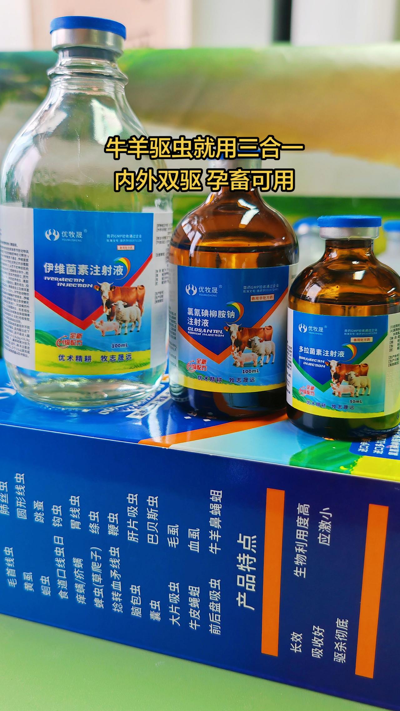 养羊人牛羊驱虫  农村养羊 牛羊养殖