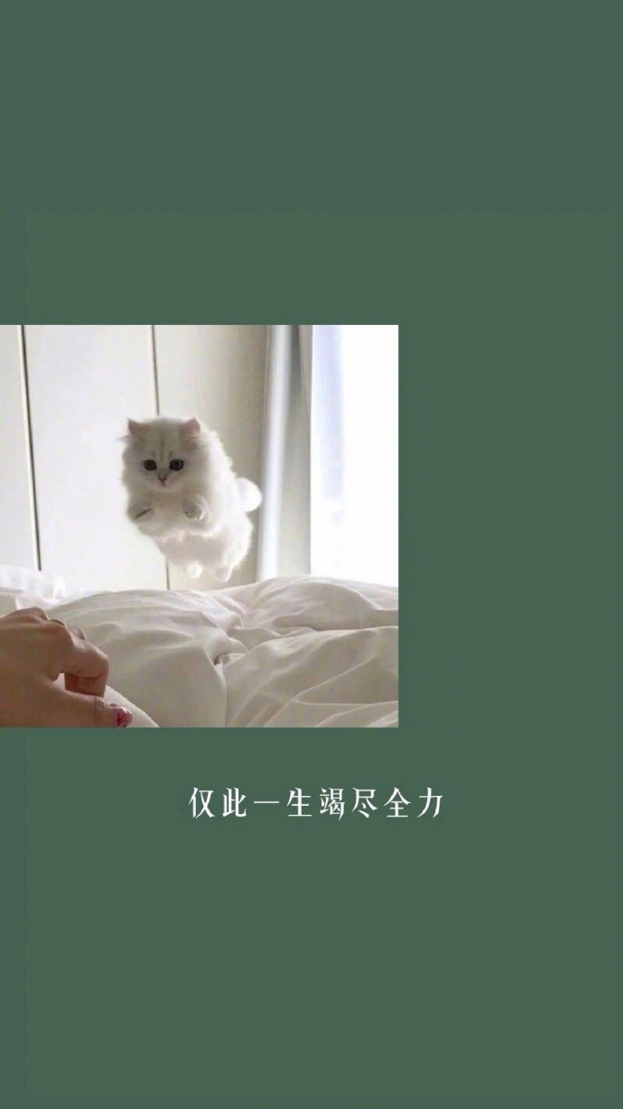 热爱一件事，然后做到极致。 