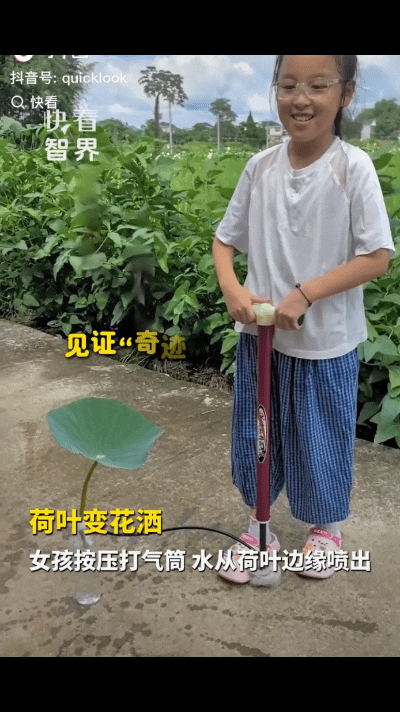 “古人诚不欺我！”浙江，女孩暑假在家很喜欢做一些科学小试验，爸爸从荷塘带回几片荷