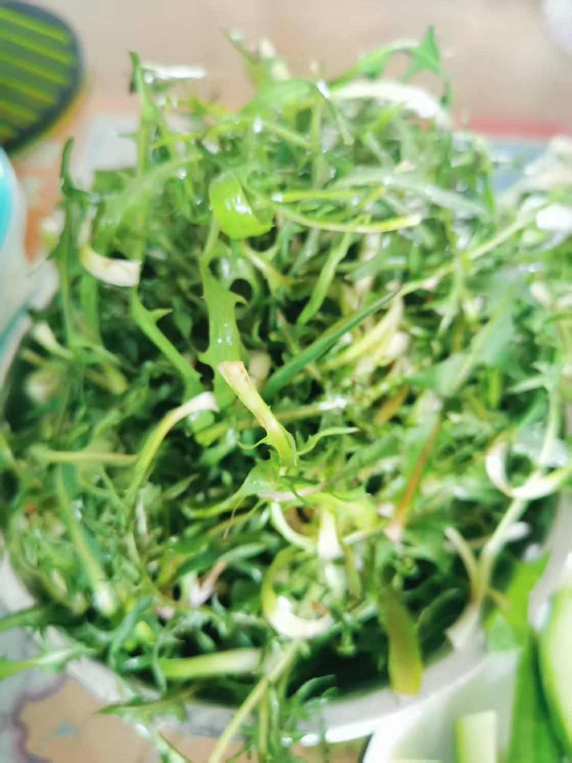 早市买了一兜野菜，十元钱，蘸酱吃

齐齐哈尔春季到来了，蒲公英、曲麻菜都破土而出