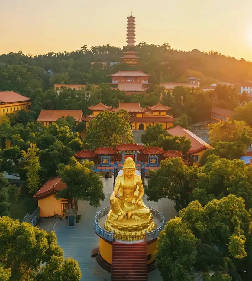 李湘，高调表白！

12月19日凌晨1点08分，当很多人熟睡的时候，李湘晒出一颗