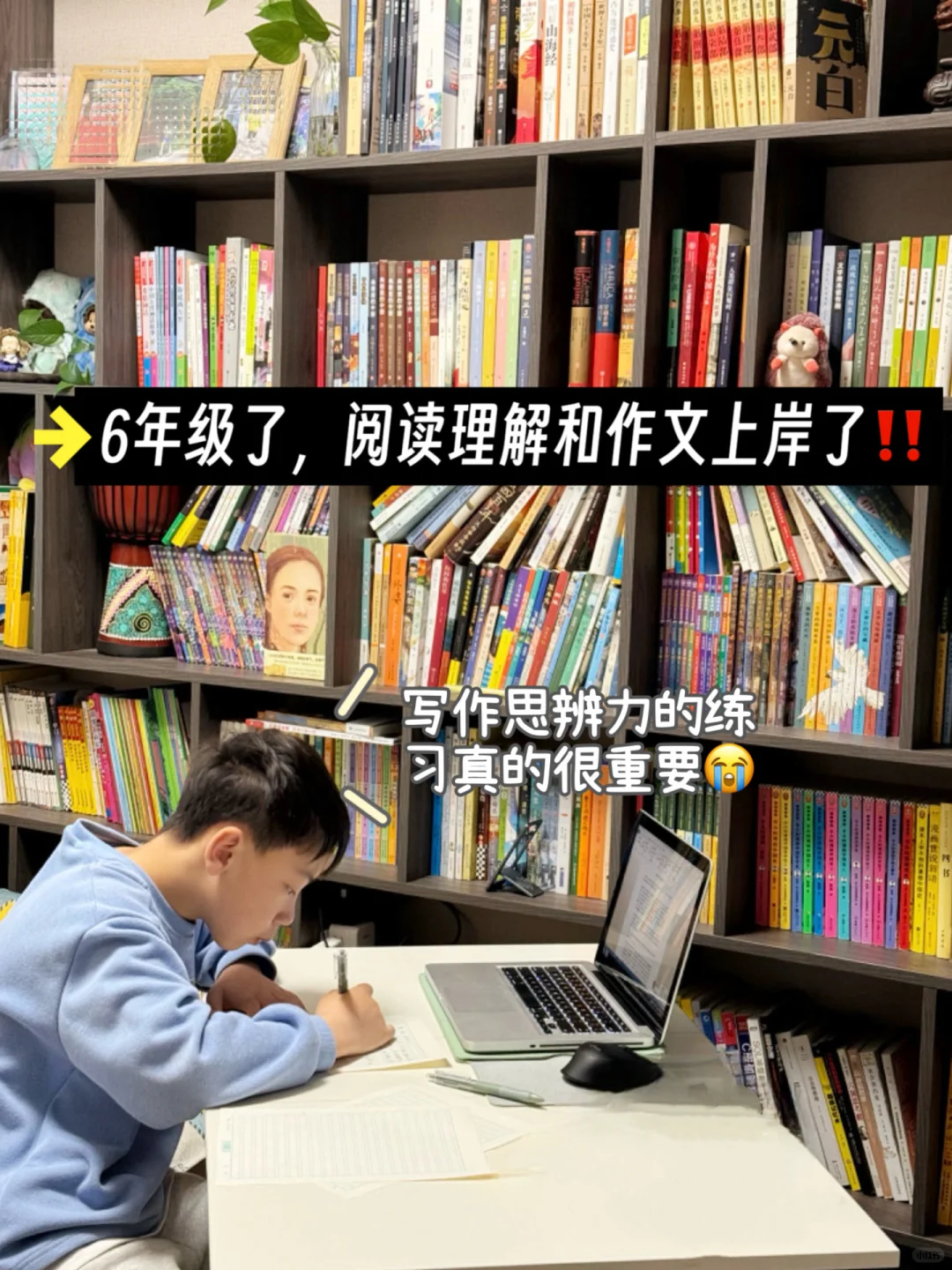 写作思辨力的这些练习真的很重要‼️
