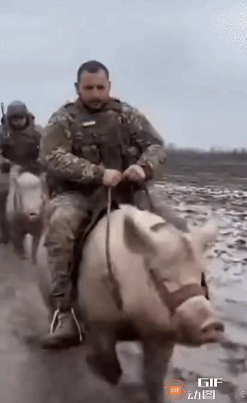 快讯！俄罗斯武装力量已在10月25日向红军城和米尔诺格勒的乌克兰守军指挥部发出最