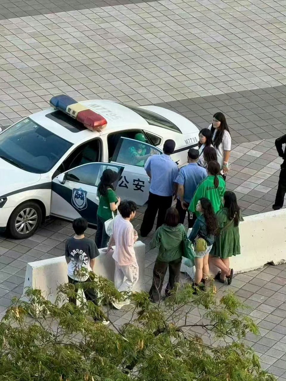 一个好问题：“为什么每次街武，光看见绿马桶被带走，咋黄马桶没带走啊？”难道粉随蒸
