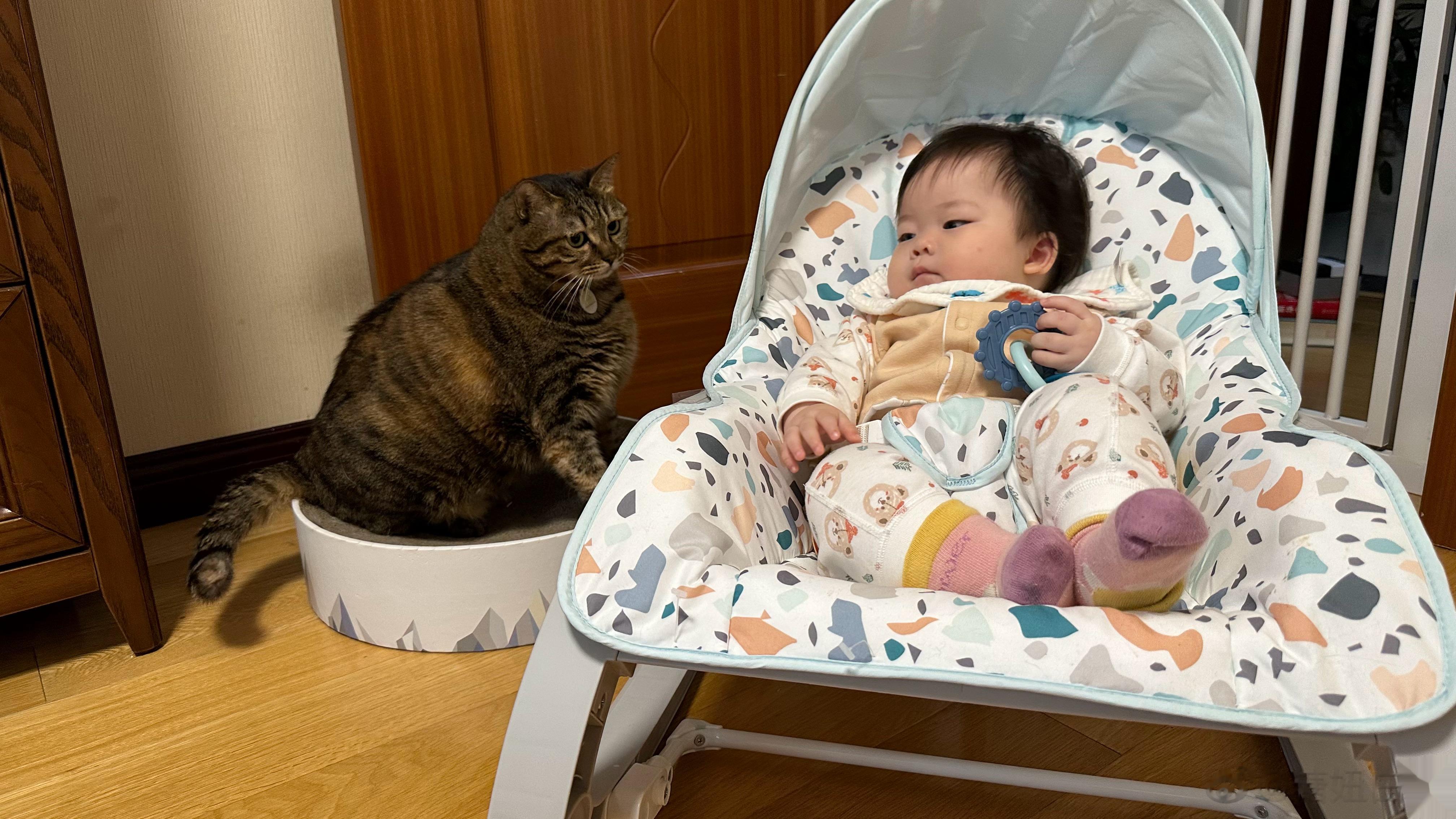 #糖妞家的日常[超话]##月饼酱##糖妞家的小多多# 🐱：让我康康人类幼崽👧