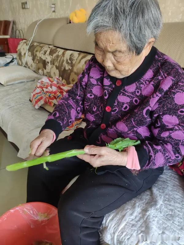 邻居老张七十岁那年，终于想明白了一件事。孙子是她一手带大的。从月子里抱回来，夜里