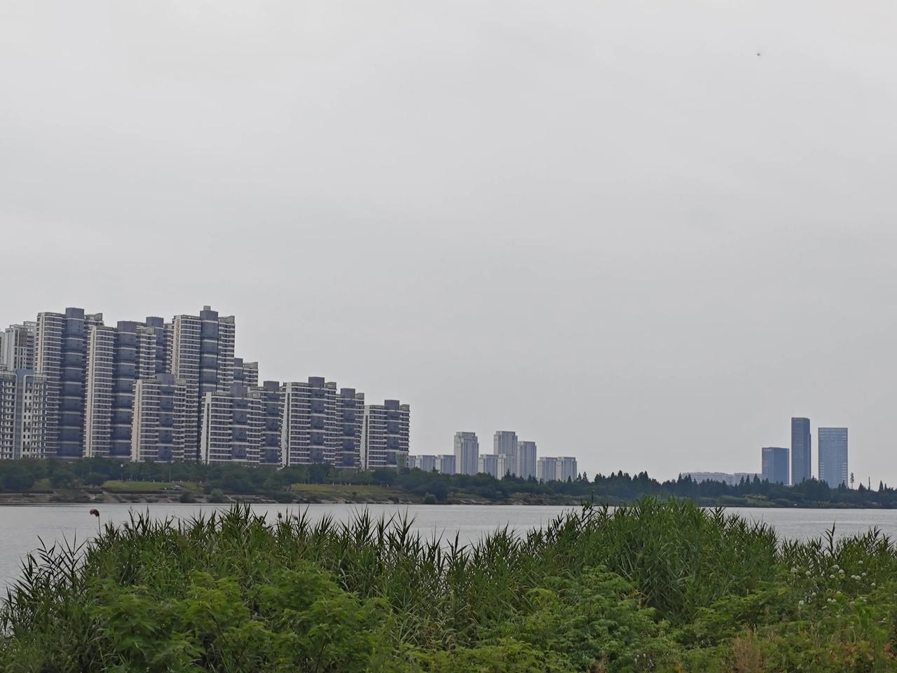 职称最大的痛点，始于僧多粥少的残酷现实。
 
各地学校的职称名额常年紧缺，尤其是