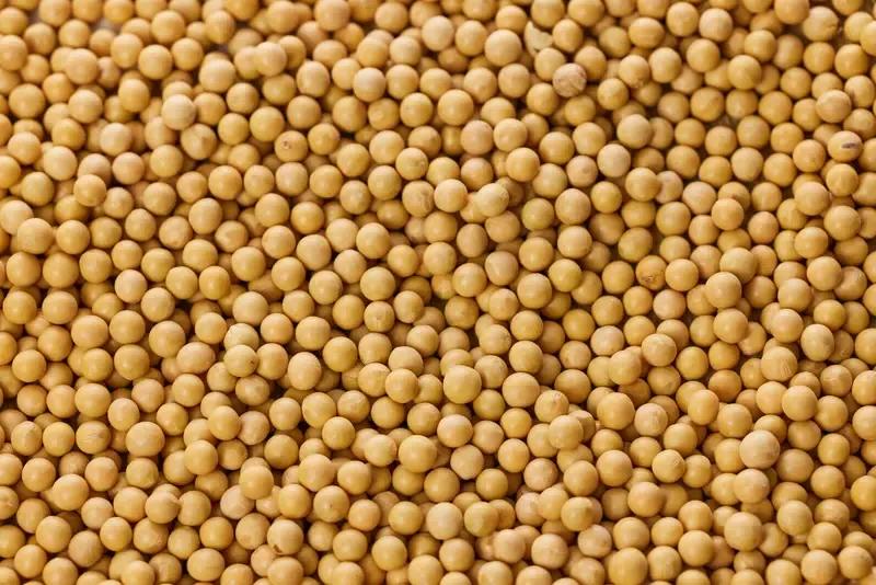 中国每年进口大豆约一亿吨，数量相当可观。去年，中国进口大豆是1.05亿吨，进口金