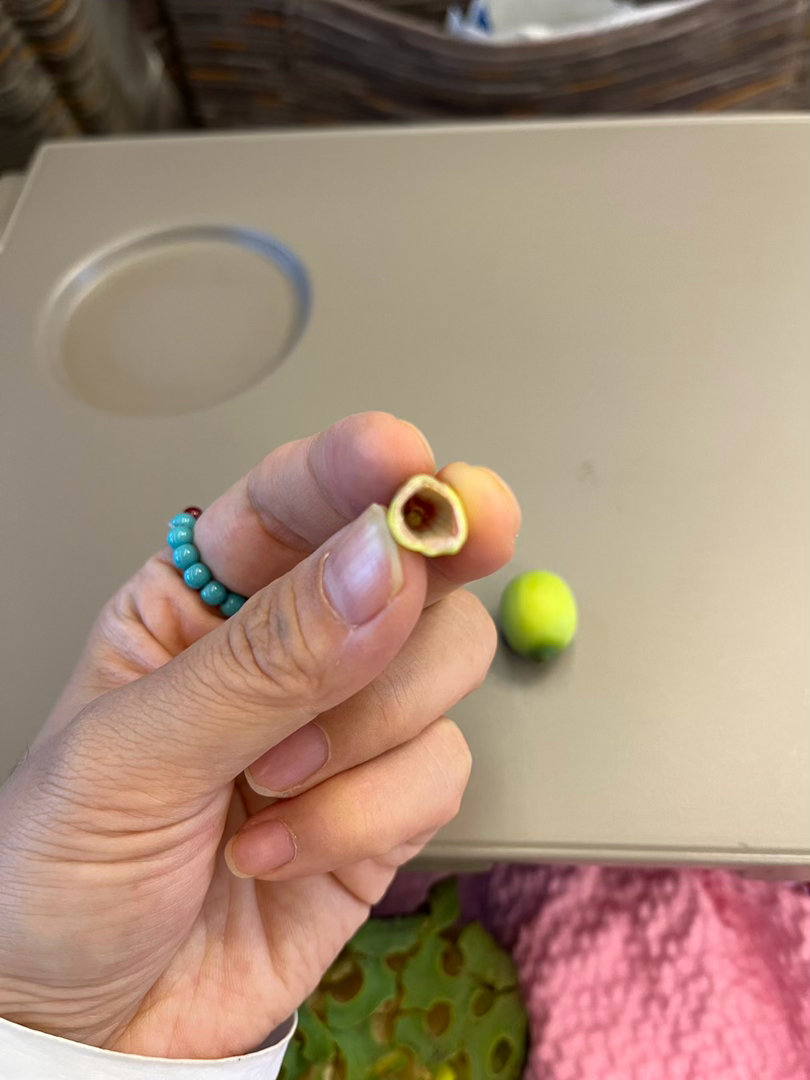 莲蓬的相由心生及你还看到了什么？面部是真相修心养面进化圈