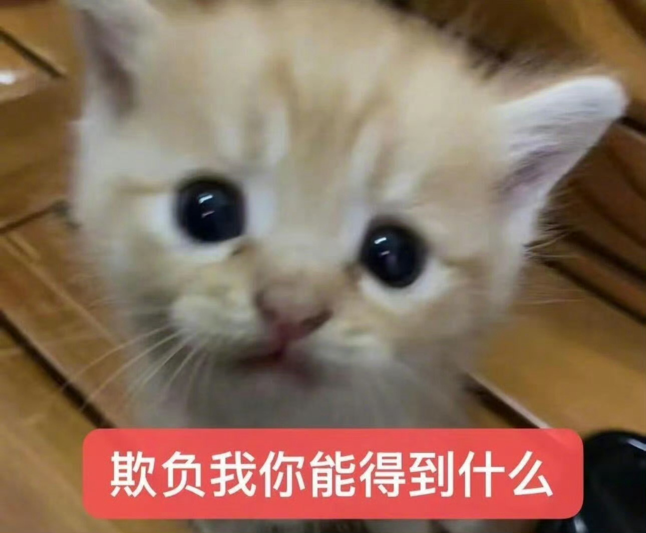 这人啥意思 ​​​