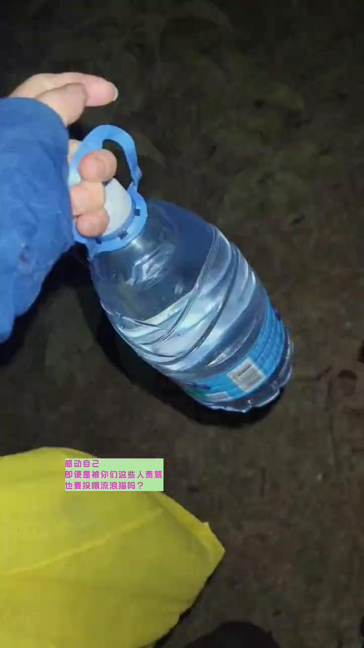 喂流浪猫是为了自我感动？
喂流浪猫是为了自我感动？自我感动什么？感动自己连件衣服