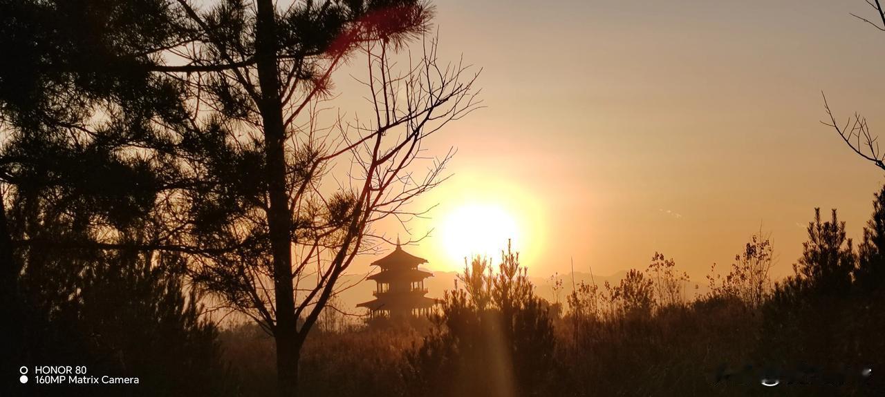 夕阳下的宁静时刻，塔影婆娑，仿佛时间都慢了下来。