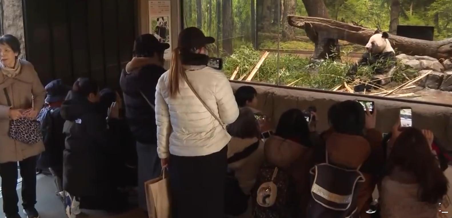 日本民众含泪与大熊猫再见 哈哈哈哈哈还再见呢？应该是不见了，因为大熊猫要回家了 