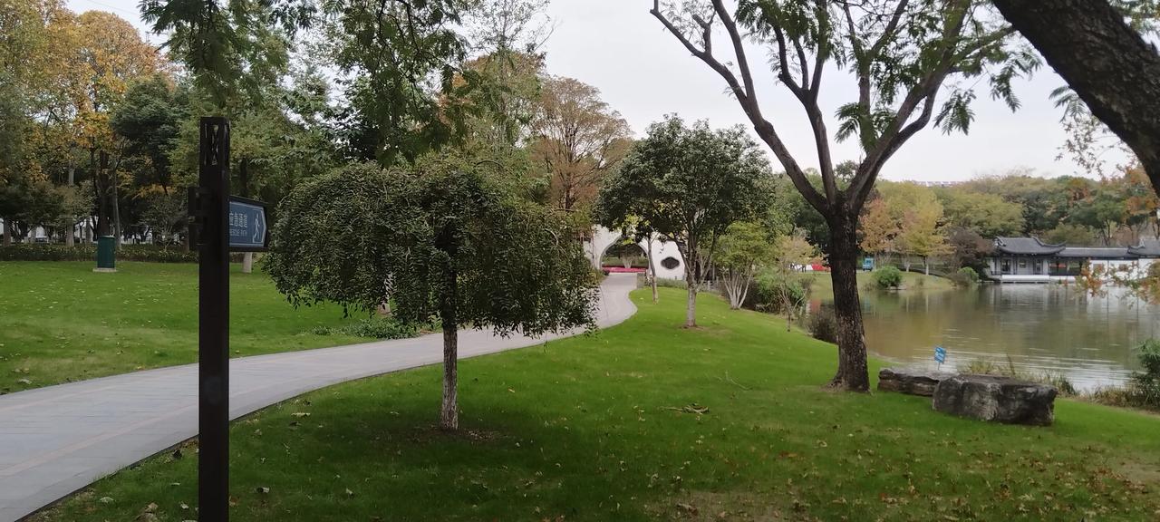 公园美丽景随拍