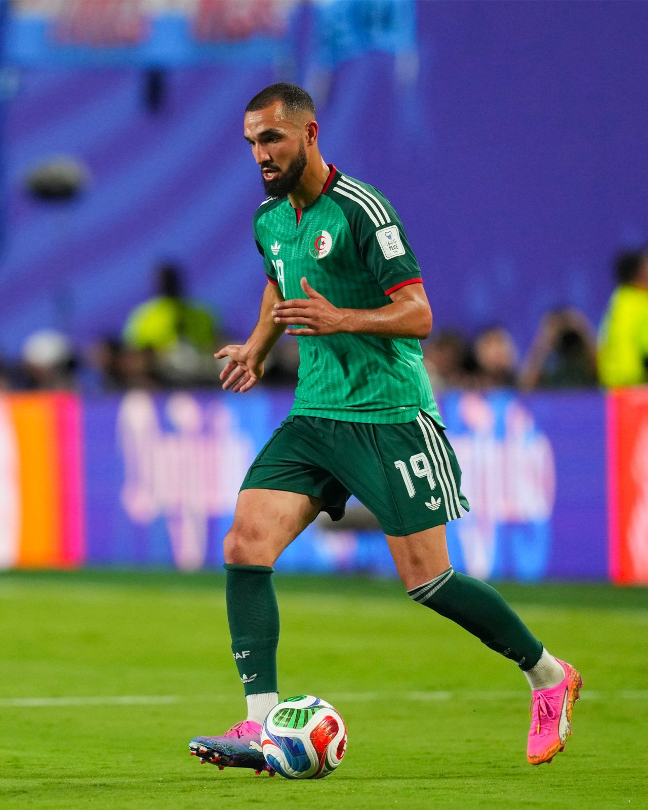 🇩🇿 古伊里与本塔莱布已经做好准备！法甲法甲联赛世界杯从法甲走向世界杯
