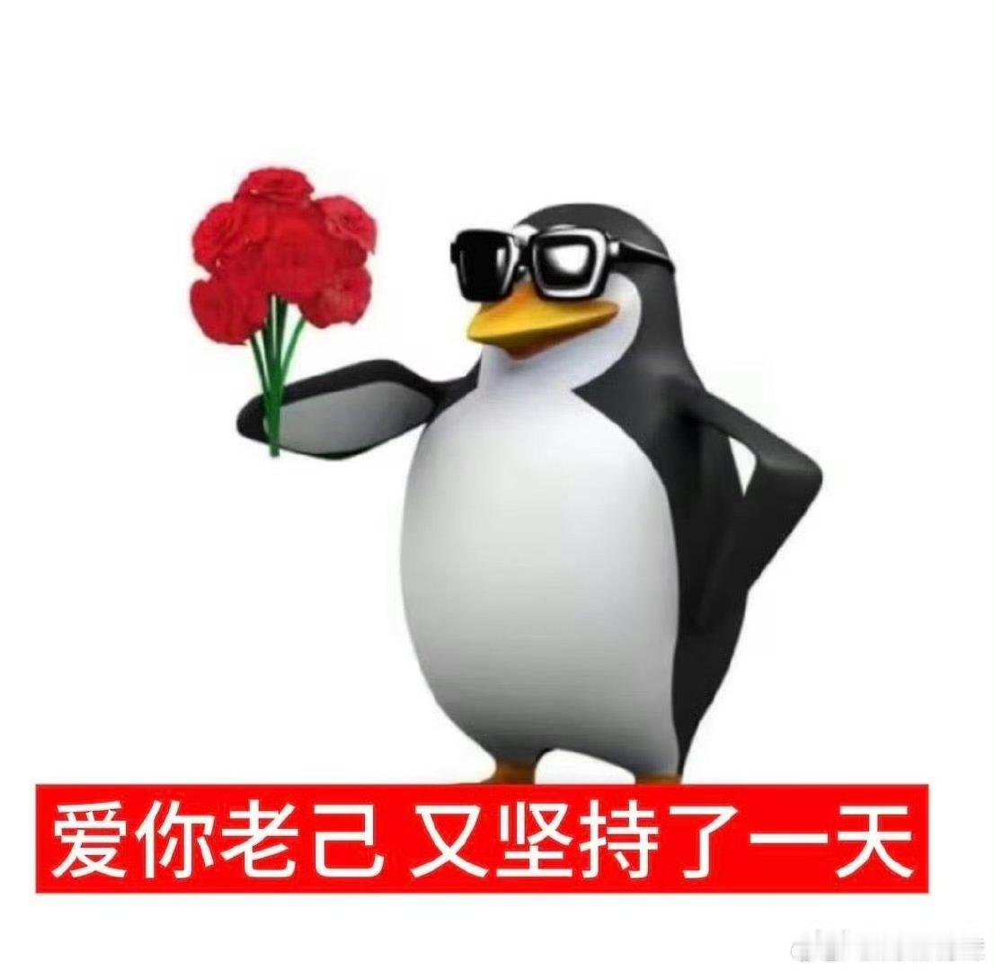 看到了最符合人设的一集不用刻意迎合，不必强行伪装，把最本真的模样摊开在眼前，每一