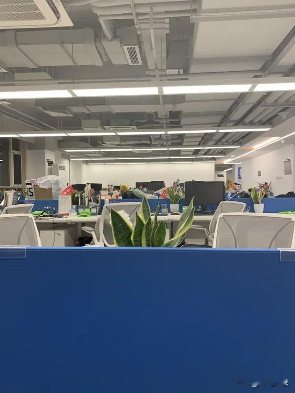 实习内推成交易这事，真让人一言难尽。现在很多大学生为了一份好实习挤破头，而有些不