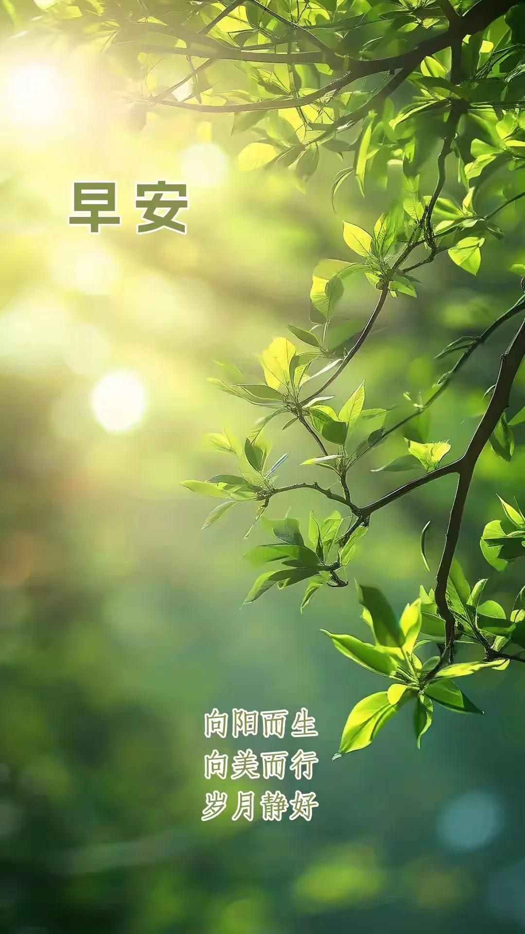 你，在人生的哪一层境界里呢？
人生,最高的境界是什么样子?

关于人生，有位名家