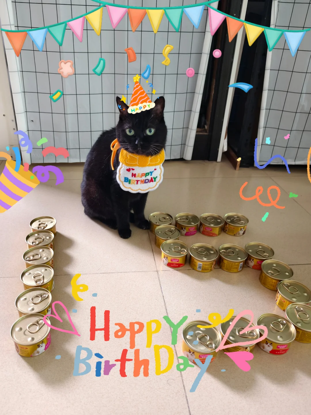 今天是光光的生日🎂～我的老宝贝15岁啦！
