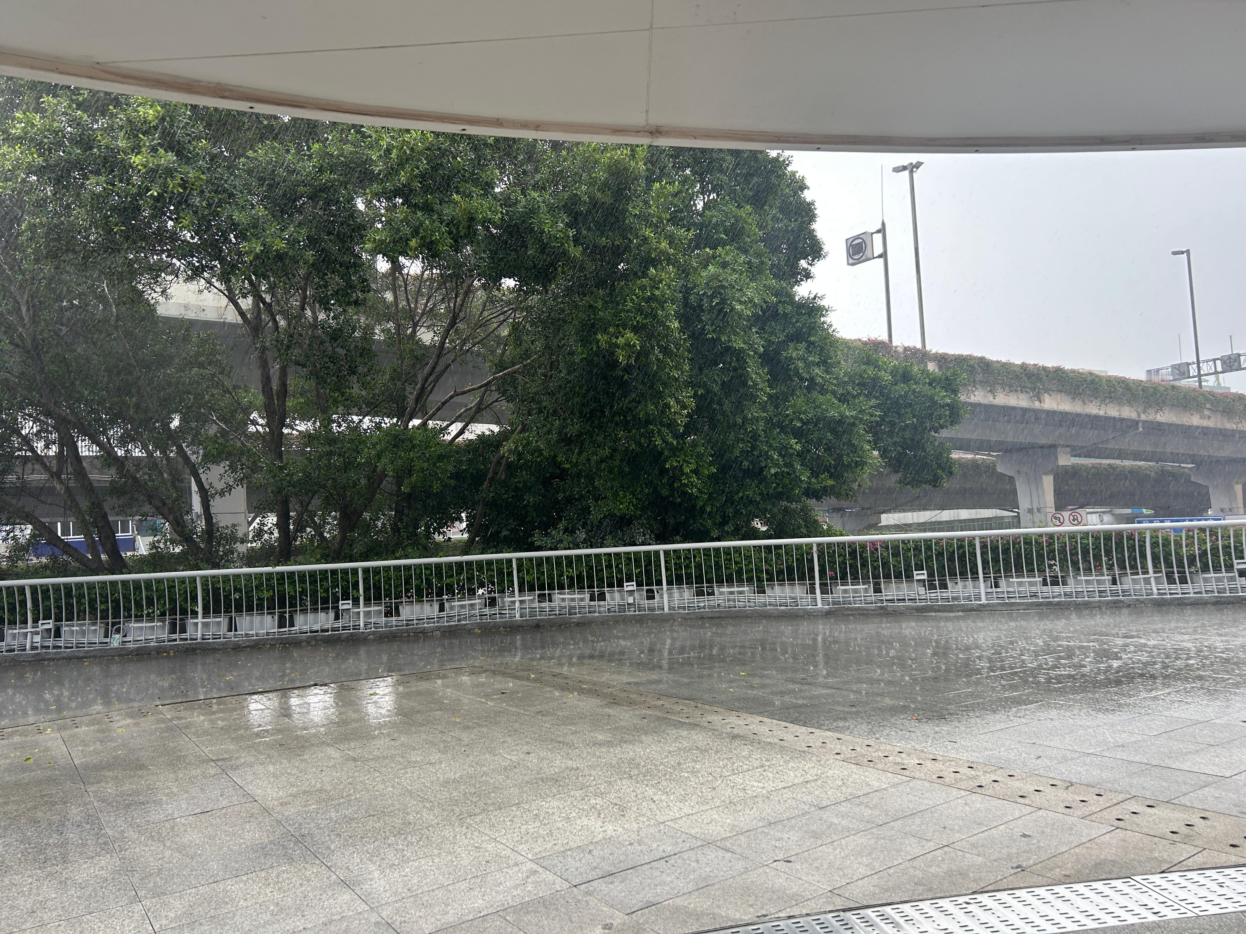好大的雨想回去睡觉[皱眉][皱眉][皱眉] ​​​