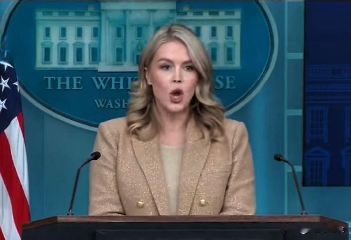 特朗普形容白宫发言人卡罗琳·莱维特的嘴像机关枪：“当她带着那张漂亮的脸蛋上电视，