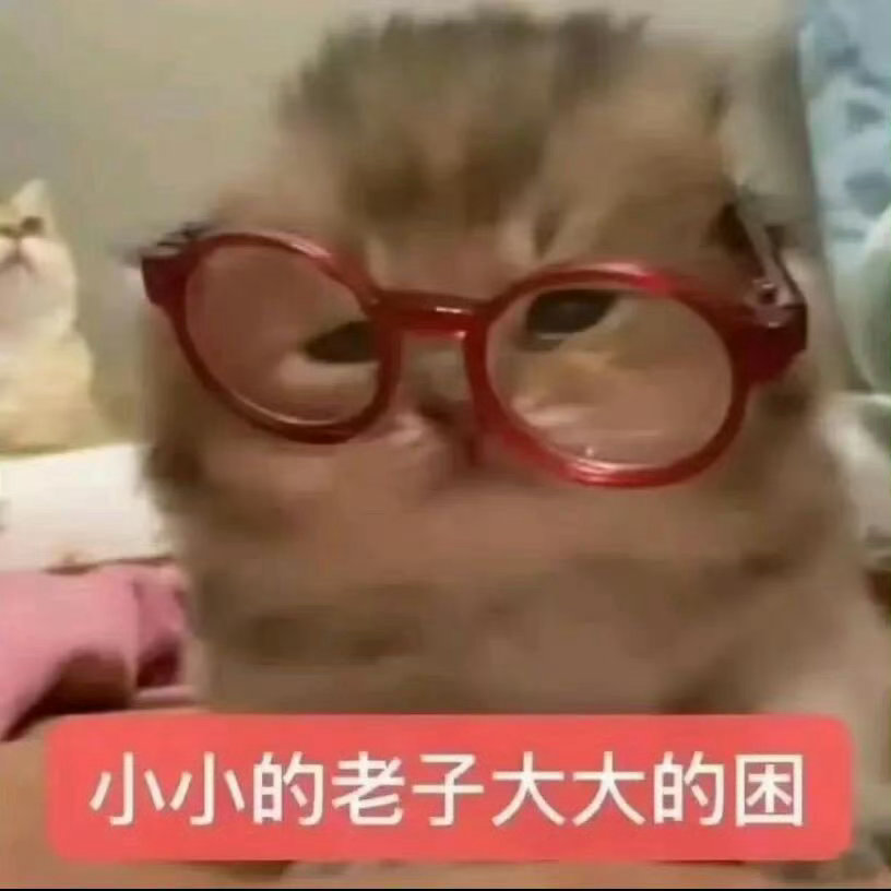周末太累了哈哈哈哈今晚不更新啦！周一养精蓄锐再重振银凤 