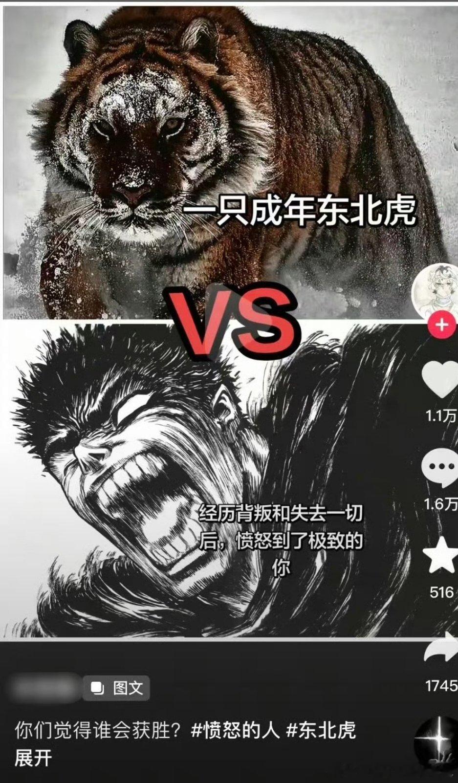 愤怒的成年男子能咬死东北虎 