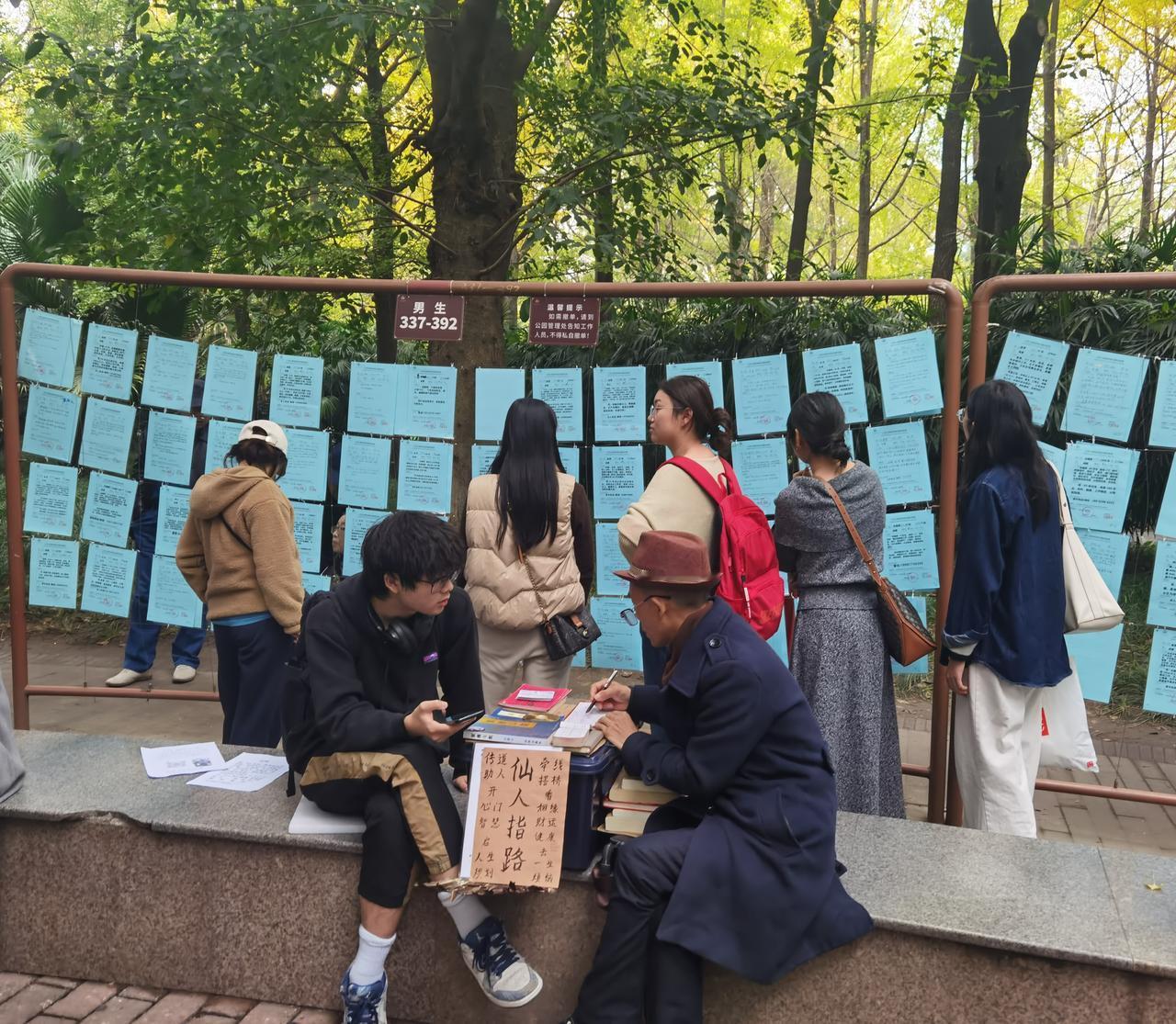 婚恋迷茫，要仙人指路吗？

昨天我去成都人民公园看金秋菊展，路过公园相亲角，顺便