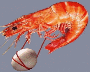 刚刚，糖尿病科门诊的一位女医师给我打电话说，她在诊间被一个浑身散发着酒气的男病人