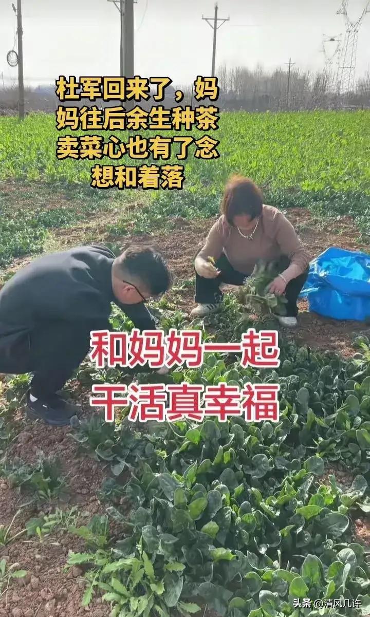 被拐36年的杜军一家最近都住在河南义马陪着妈妈，陪着妈妈干活摘菜卖菜，然后直播，