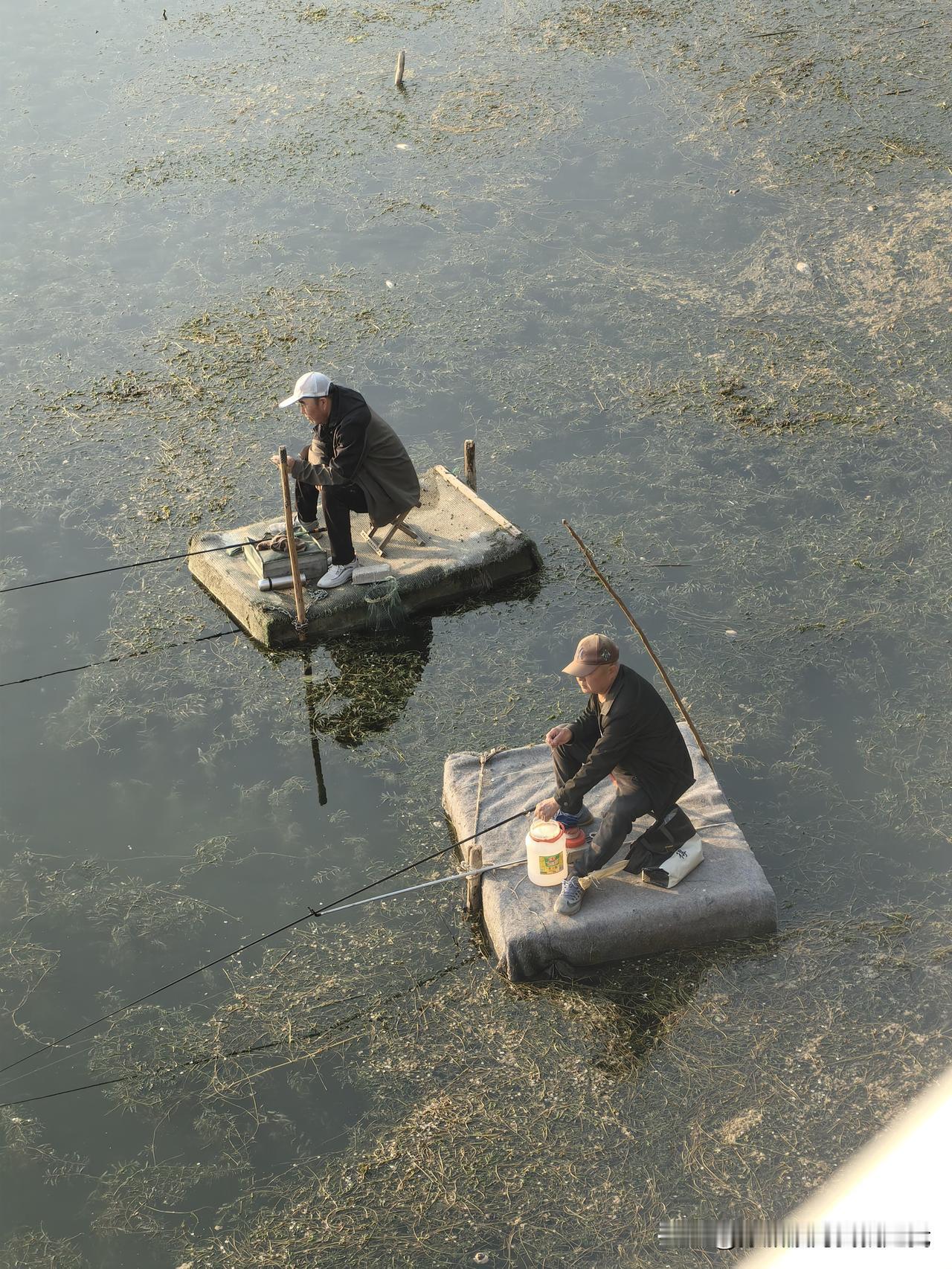 这钓鱼的劲头真大。仅仅平台的制作和固定都需要费很大劲才行吧？手机随手拍原创图片钓