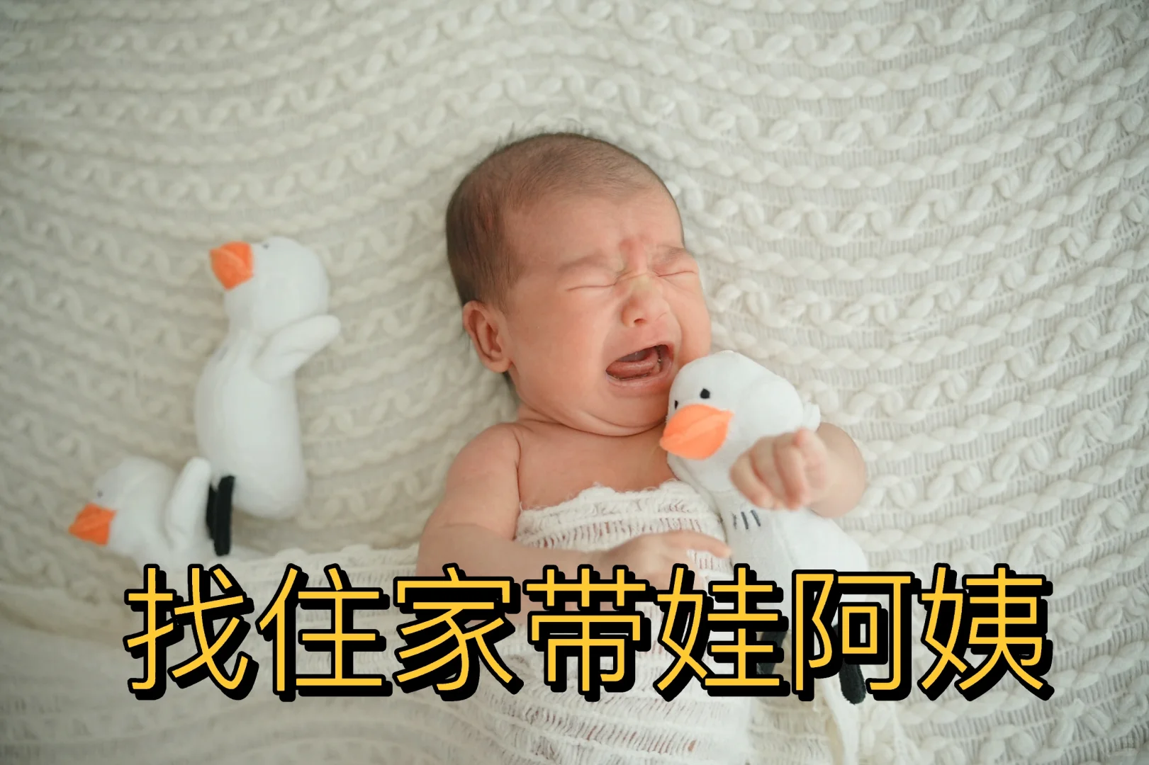 海口找住家带娃阿姨！求宝妈推荐，看看我们