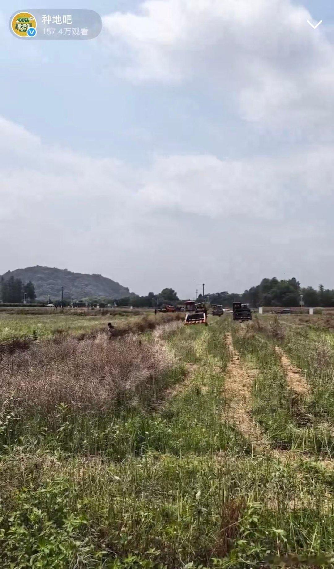 种地吧打卡直播每日9:30准时开播，无剧本无滤镜，直击后陡门田间真实劳作，是“禾