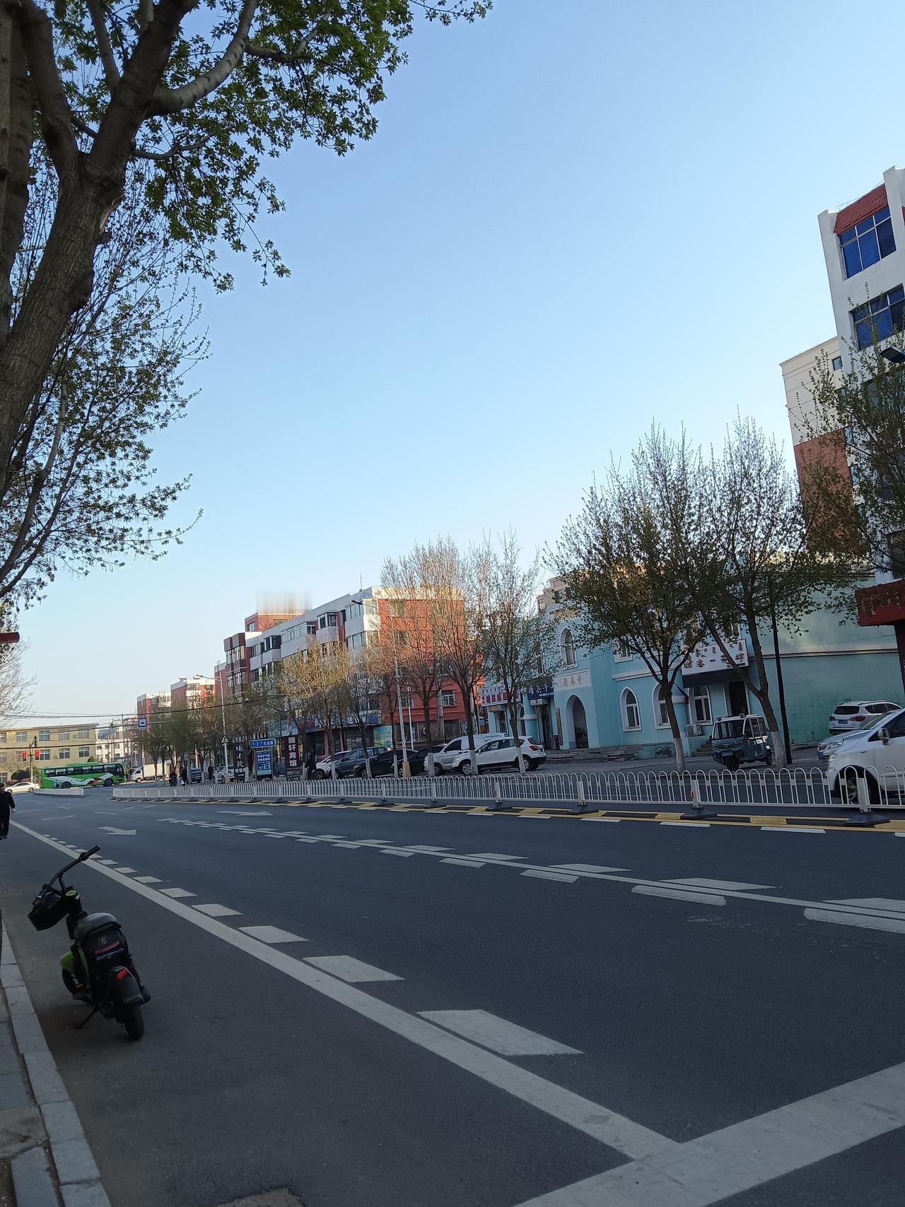 阳光洒满的街道，绿树成荫，宁静而美好。