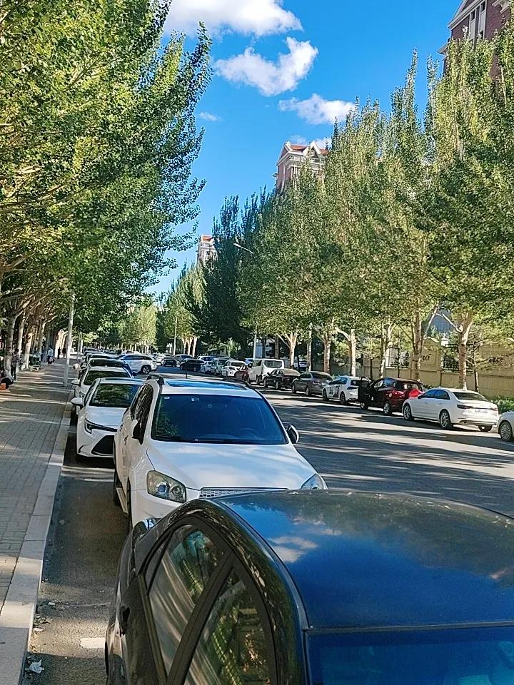 校园门口停了满满的车，但是你发现没有，基本上全是白色的车！