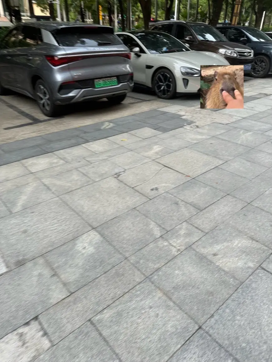 比亚迪净干不是人事。我的计划去吃个早餐回来充满电，来台狗亚迪直接把我的...