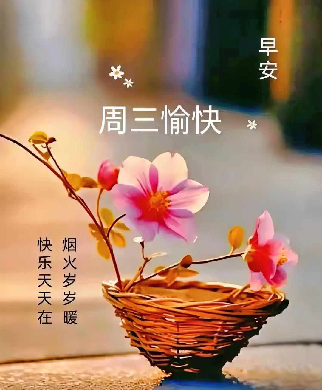 早安！🌸周三的温柔藏进花篮里，烟火岁岁暖，快乐天天在，愿你被美好治愈一整天。
