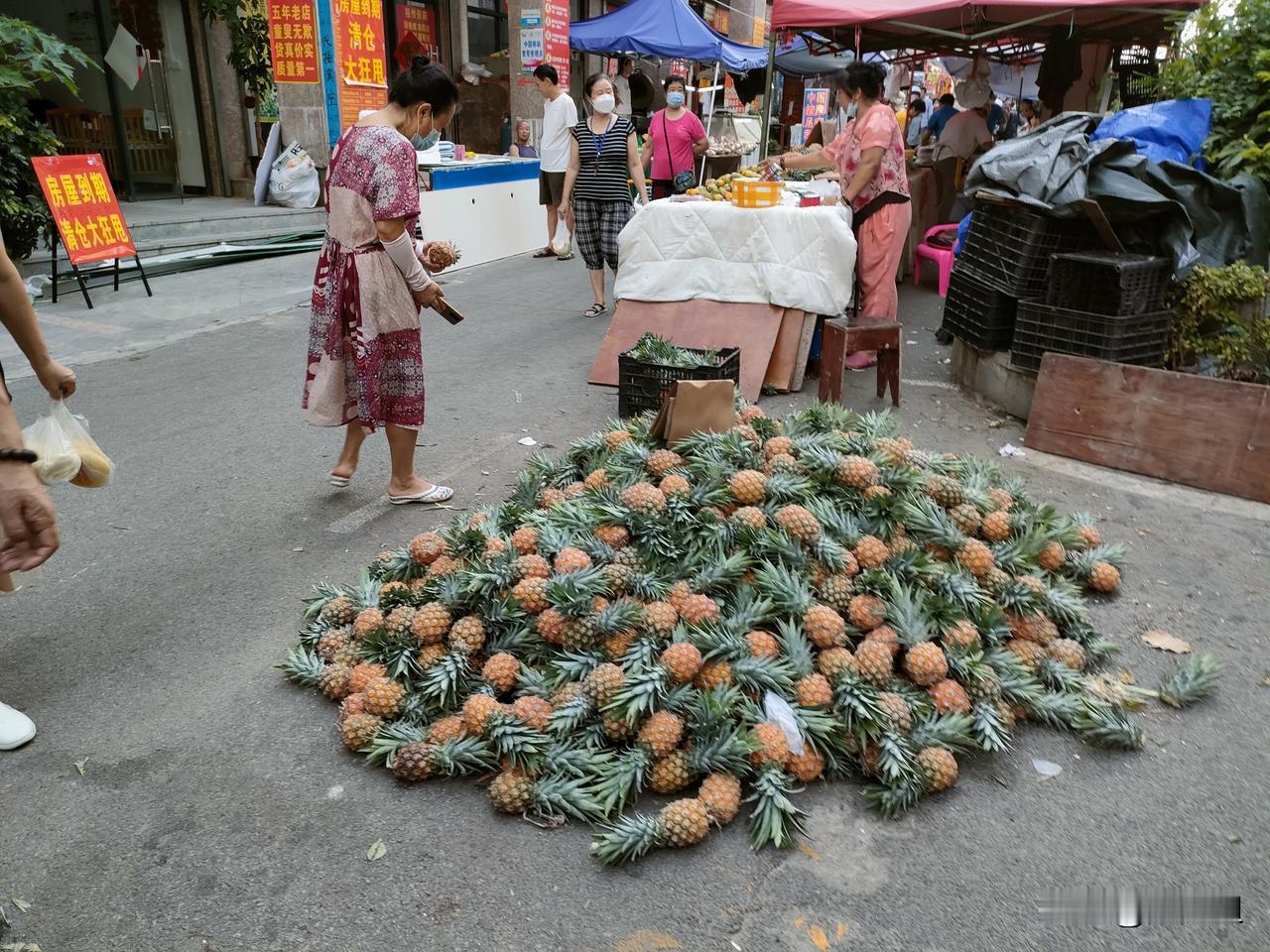 海南哪里比较适合东北人居住?东方气候干燥不潮湿物价低配套好，每年有40多万候鸟来