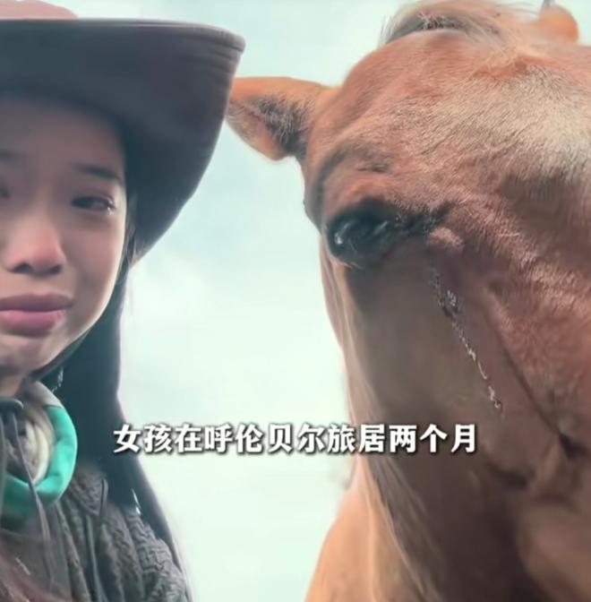 解释不清了！
一名女孩来到内蒙古旅行，在草原马场待了整整两个月。没想到离开时，朝