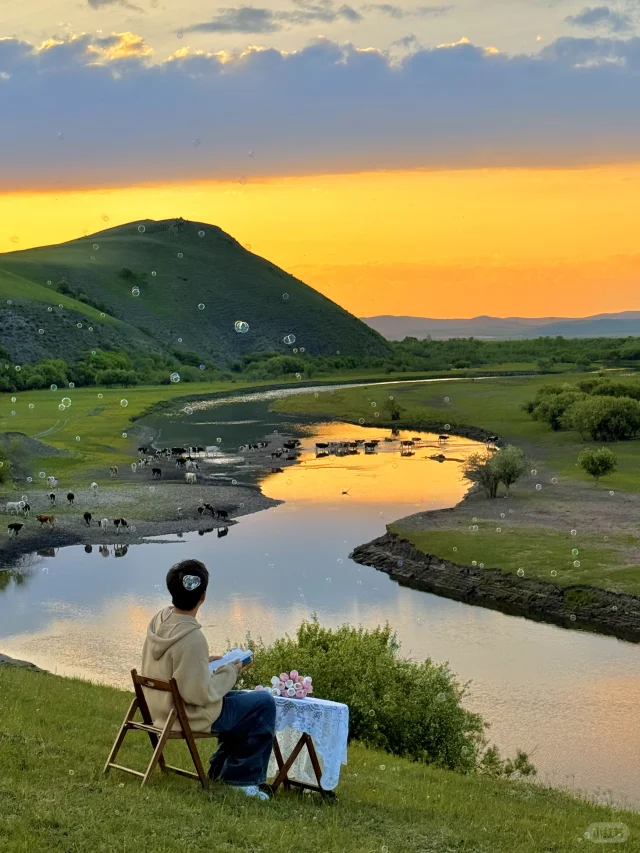 Live实拍❗️初夏的内蒙古才是人间理想❗️