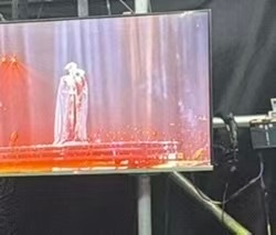 陈立农澳门演唱会嘉宾是lzx，内部消息不是自己定的…两人完全零互动，小猪来表演了