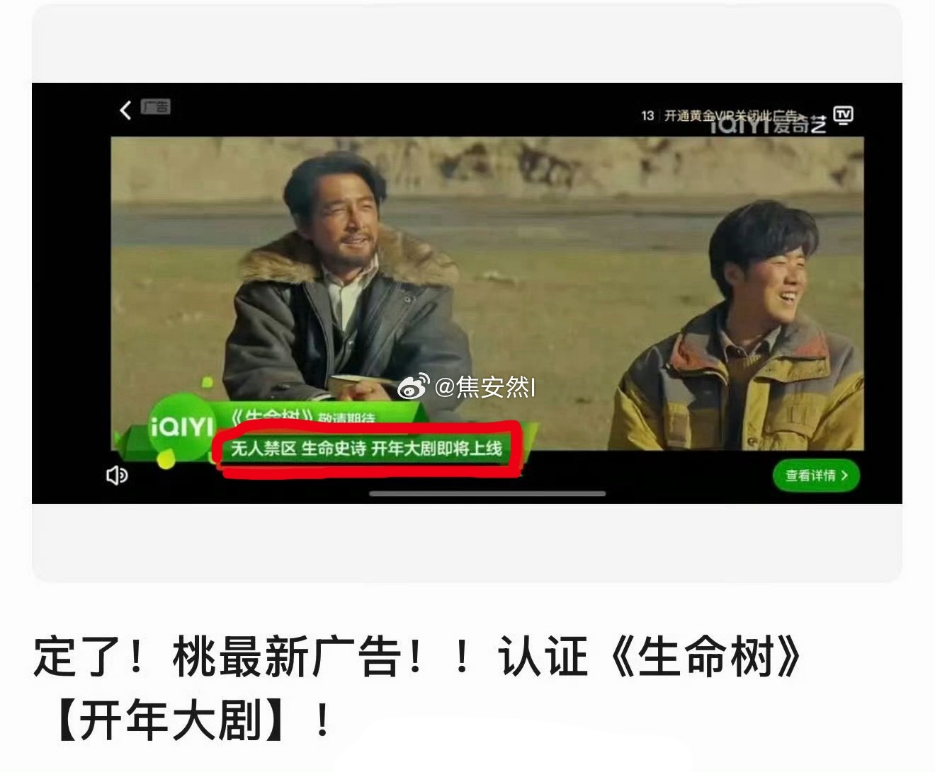 生命树这说明啥？说明排面平台会主动给 