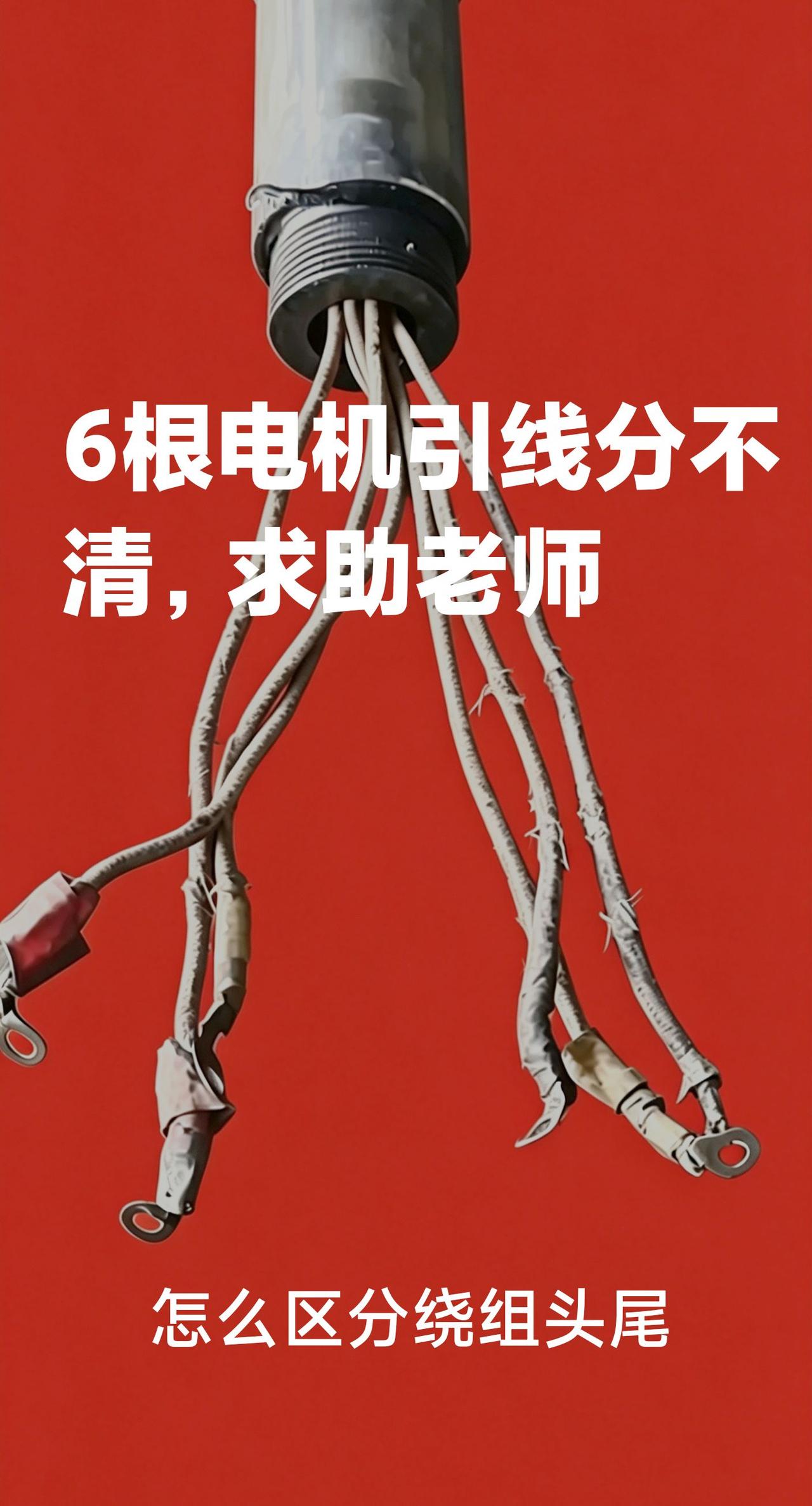 各位电工师傅求助！
这台电机6根引线外皮老化，线头混在一起，分不清绕组组别，头尾
