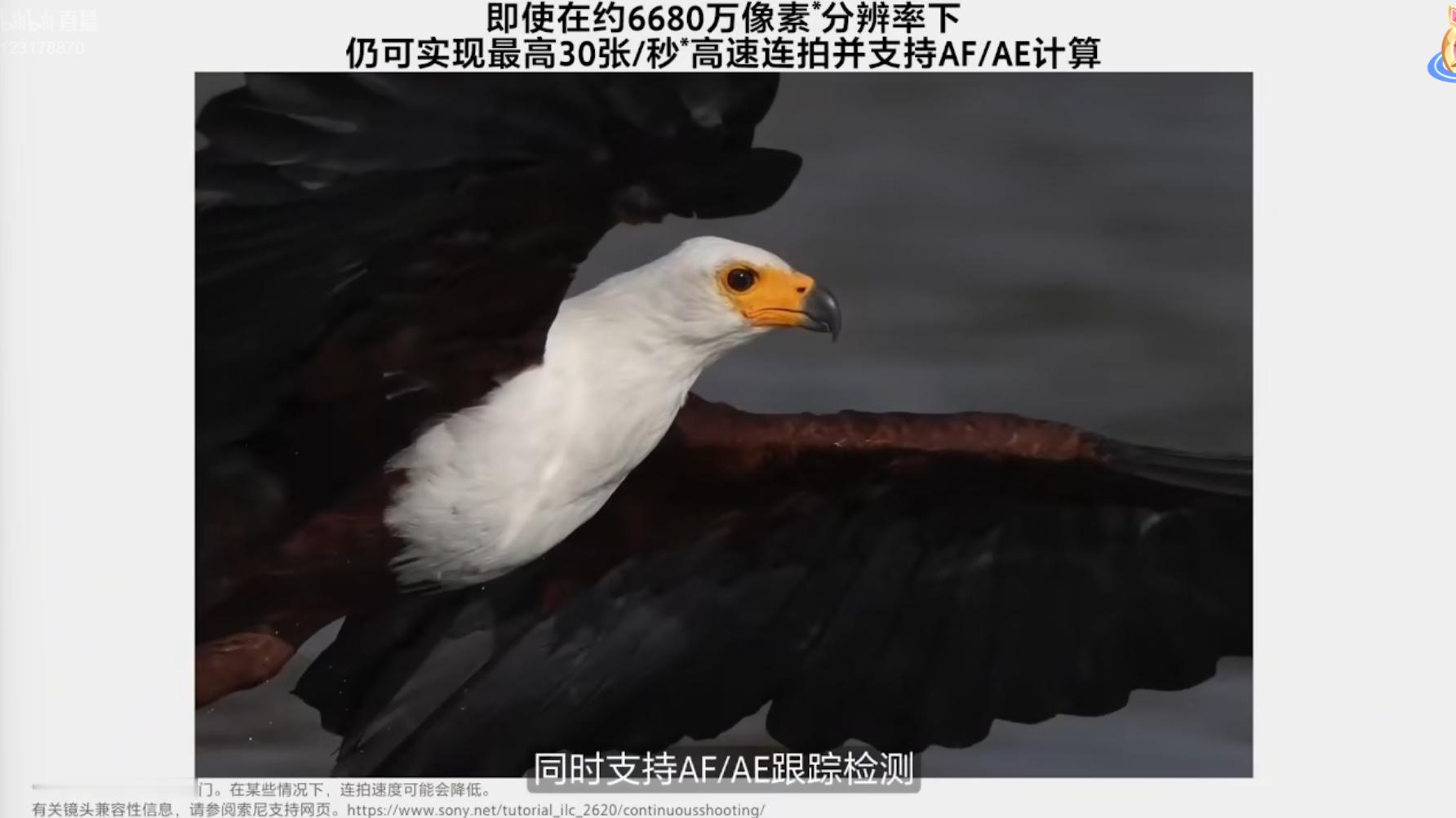 画质旗舰×极速致胜6680万像素全堆栈CMOSBIONZ XR2 16级动态范围