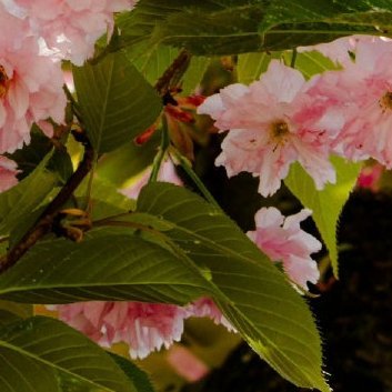 阳光信用‎阳光‎信用 ‎每日一善 向善是一种文明，也是一种光明。善良之举，需要人