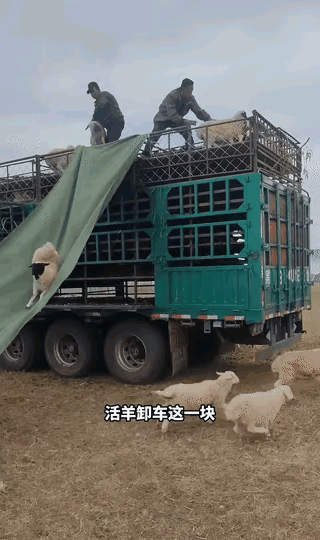 这就是劳动人民的智慧～[赞]