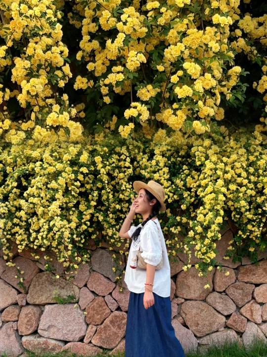 找到啦❗️就在良渚❗️周董故事的小黄花墙